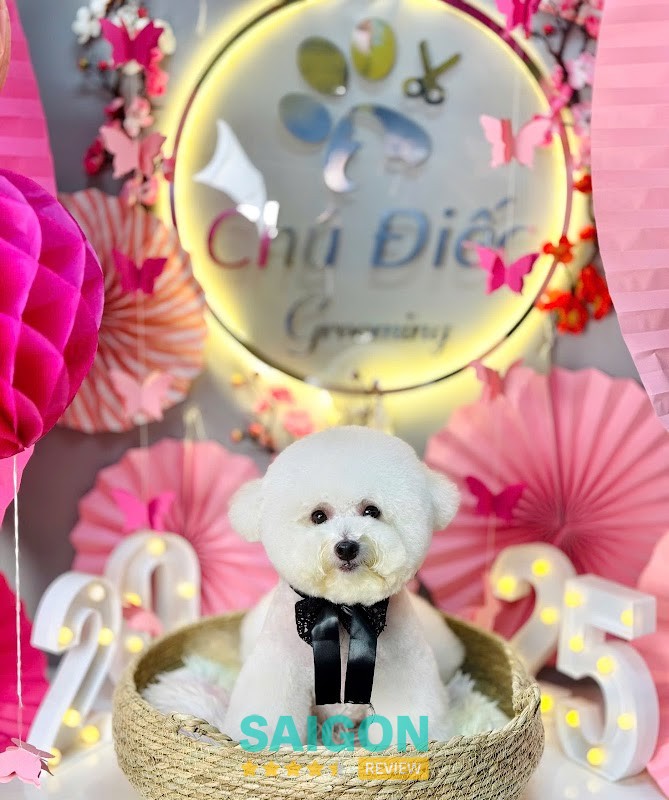 Không gian Chú Điếc pet hotel Vũng Tàu