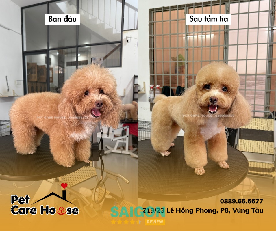 Không gian Pet Care House Vũng Tàu