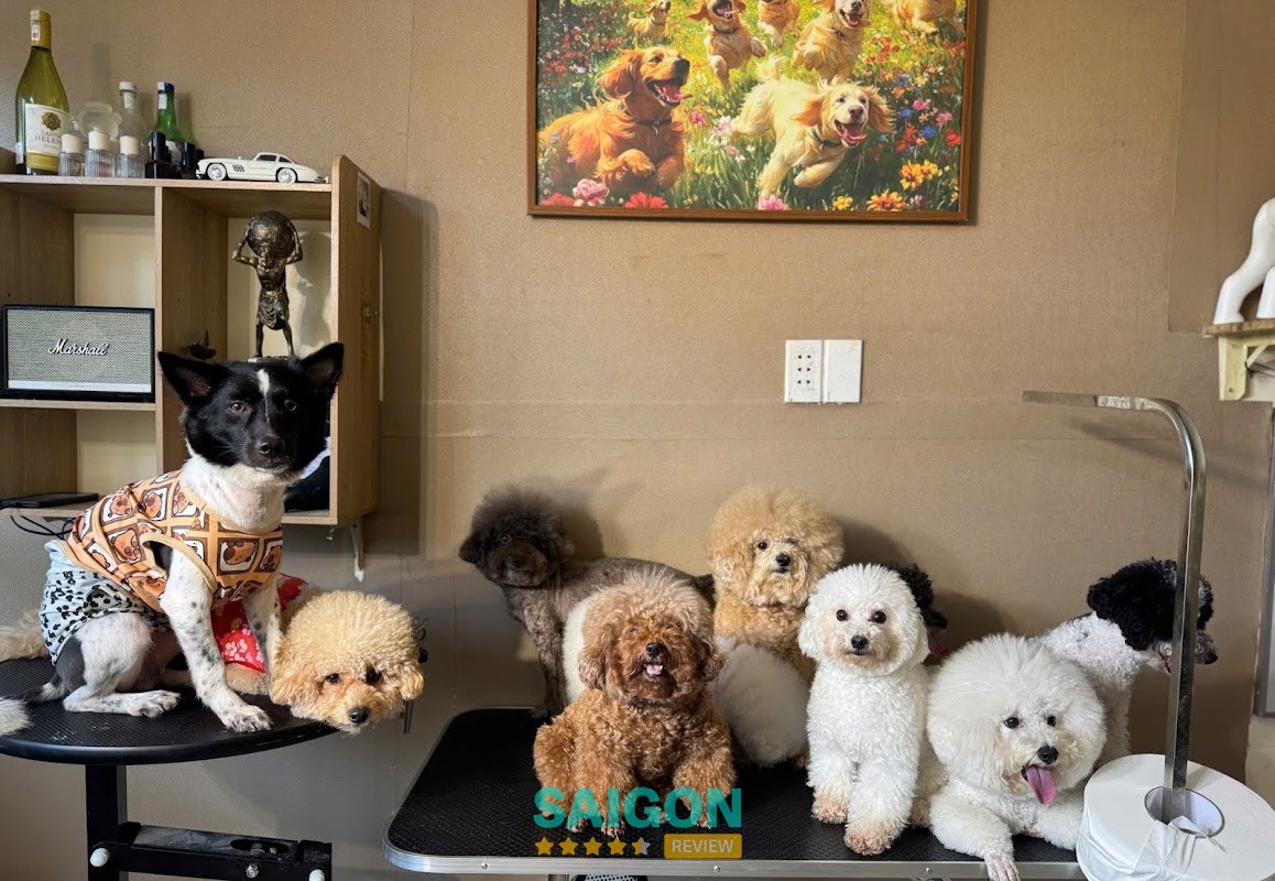 Không gian Fur Thé petsalon Vũng Tàu