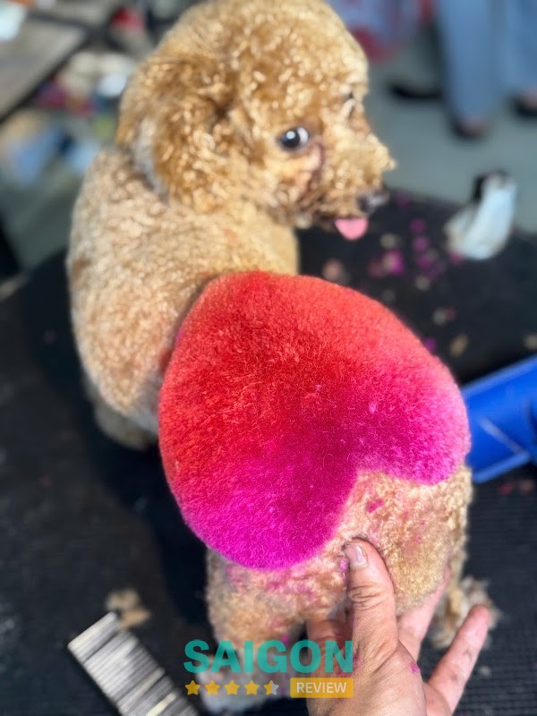 Dịch vụ làm đẹp thú cưng Fur Thé