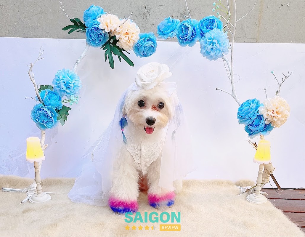 Sammi Pet Salon Vũng Tàu